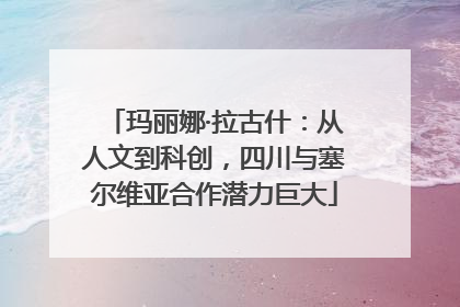 玛丽娜·拉古什：从人文到科创，四川与塞尔维亚合作潜力巨大