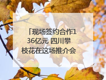 现场签约合作136亿元 四川攀枝花在这场推介会上画“图谱”列“清单”