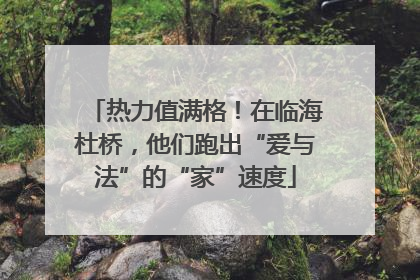 热力值满格！在临海杜桥，他们跑出“爱与法”的“家”速度
