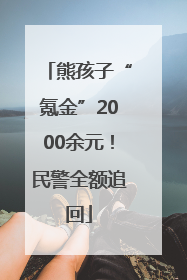 熊孩子“氪金”2000余元！民警全额追回
