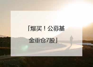 爆买！公募基金重仓7股