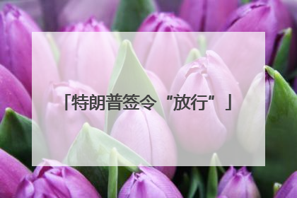 特朗普签令“放行”