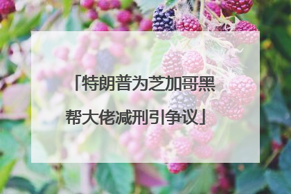 特朗普为芝加哥黑帮大佬减刑引争议