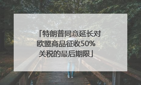 特朗普同意延长对欧盟商品征收50%关税的最后期限