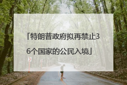 特朗普政府拟再禁止36个国家的公民入境