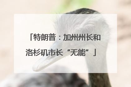 特朗普：加州州长和洛杉矶市长“无能”