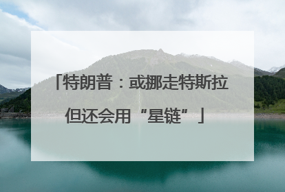 特朗普：或挪走特斯拉 但还会用“星链”