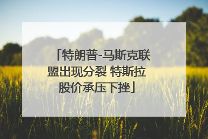 特朗普-马斯克联盟出现分裂 特斯拉股价承压下挫