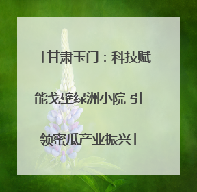 甘肃玉门：科技赋能戈壁绿洲小院 引领蜜瓜产业振兴