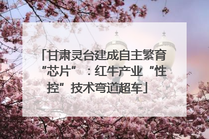 甘肃灵台建成自主繁育“芯片”：红牛产业“性控”技术弯道超车