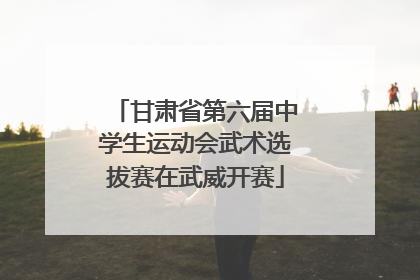 甘肃省第六届中学生运动会武术选拔赛在武威开赛