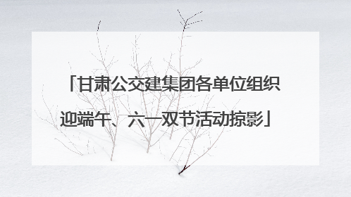 甘肃公交建集团各单位组织迎端午、六一双节活动掠影