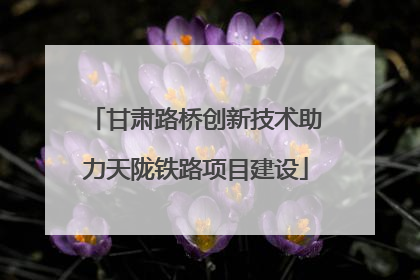 甘肃路桥创新技术助力天陇铁路项目建设