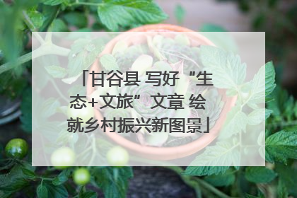 甘谷县 写好“生态+文旅”文章 绘就乡村振兴新图景