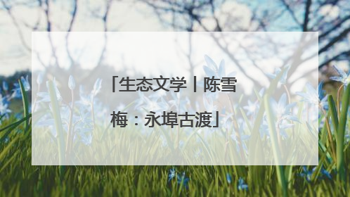生态文学丨陈雪梅：永埠古渡