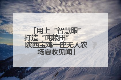 用上“智慧眼” 打造“吨粮田”——陕西宝鸡一座无人农场夏收见闻