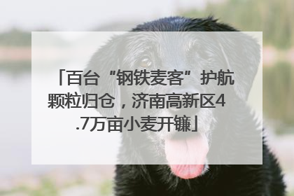 百台“钢铁麦客”护航颗粒归仓，济南高新区4.7万亩小麦开镰