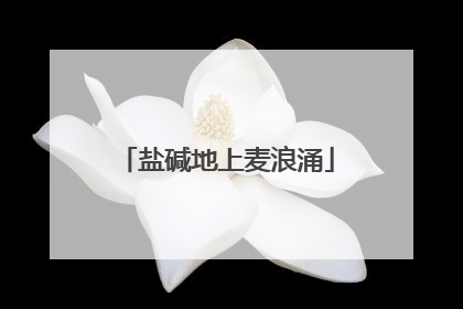 盐碱地上麦浪涌