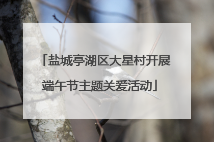 盐城亭湖区大星村开展端午节主题关爱活动
