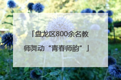 盘龙区800余名教师舞动“青春师韵”