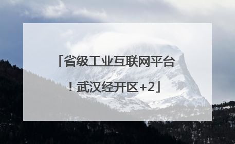 省级工业互联网平台！武汉经开区+2