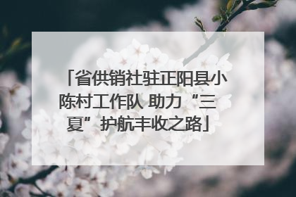 省供销社驻正阳县小陈村工作队 助力“三夏”护航丰收之路
