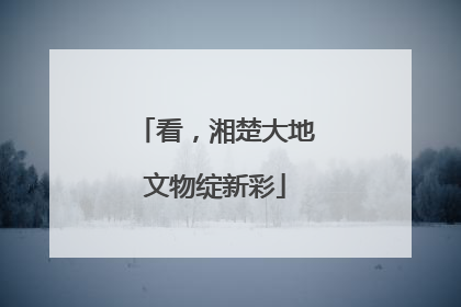 看，湘楚大地文物绽新彩
