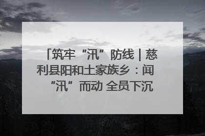 筑牢“汛”防线｜慈利县阳和土家族乡：闻“汛”而动 全员下沉筑牢防汛“安全堤”