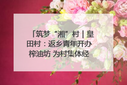 筑梦“湘”村｜皇田村：返乡青年开办榨油坊 为村集体经济“加油”