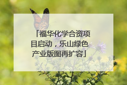 福华化学合资项目启动，乐山绿色产业版图再扩容