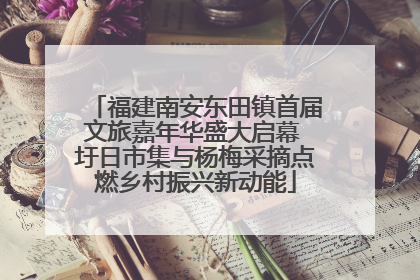 福建南安东田镇首届文旅嘉年华盛大启幕 圩日市集与杨梅采摘点燃乡村振兴新动能