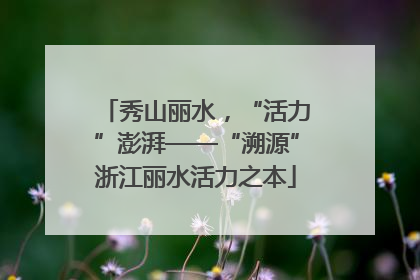 秀山丽水，“活力”澎湃——“溯源”浙江丽水活力之本