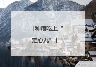 种粮吃上“定心丸”