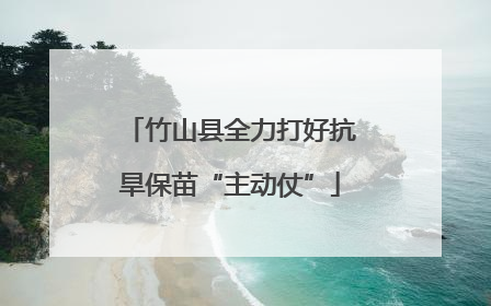 竹山县全力打好抗旱保苗“主动仗”