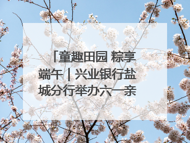 童趣田园 粽享端午｜兴业银行盐城分行举办六一亲子嘉年华活动