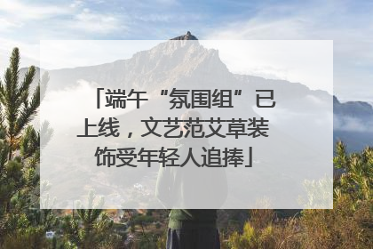端午“氛围组”已上线，文艺范艾草装饰受年轻人追捧