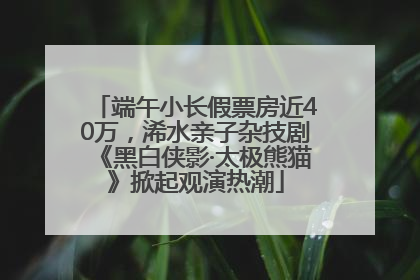 端午小长假票房近40万，浠水亲子杂技剧《黑白侠影·太极熊猫》掀起观演热潮