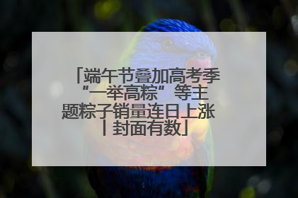 端午节叠加高考季 “一举高粽”等主题粽子销量连日上涨丨封面有数