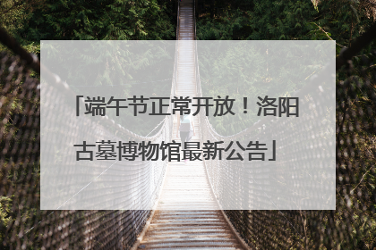 端午节正常开放！洛阳古墓博物馆最新公告