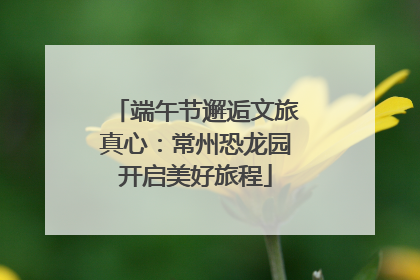 端午节邂逅文旅真心：常州恐龙园开启美好旅程