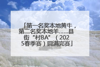 第一名奖本地黄牛，第二名奖本地羊……县街“村BA”（2025春季赛）圆满完赛