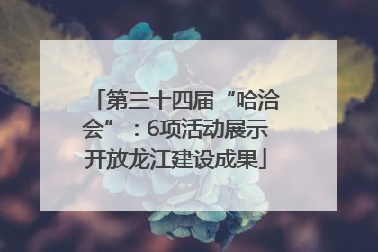 第三十四届“哈洽会”：6项活动展示开放龙江建设成果