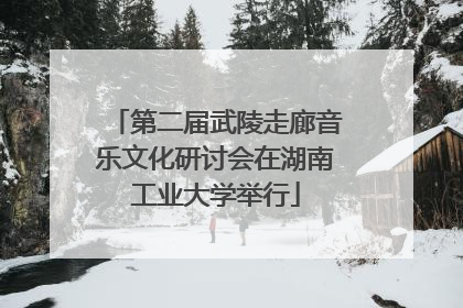 第二届武陵走廊音乐文化研讨会在湖南工业大学举行