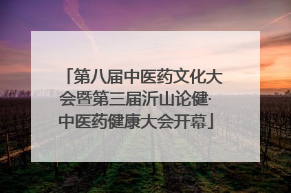 第八届中医药文化大会暨第三届沂山论健·中医药健康大会开幕