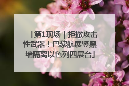 第1现场｜拒撤攻击性武器！巴黎航展竖黑墙隔离以色列四展台