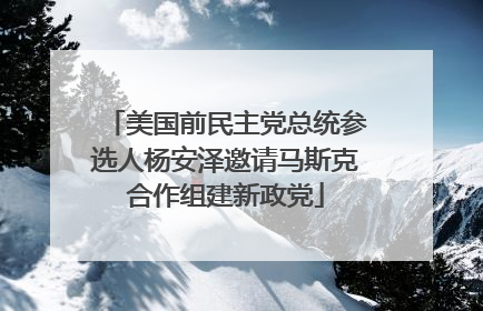 美国前民主党总统参选人杨安泽邀请马斯克合作组建新政党