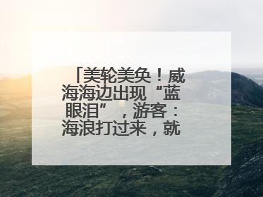 美轮美奂！威海海边出现“蓝眼泪”，游客：海浪打过来，就像星河一样