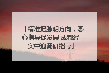 精准把脉明方向，悉心指导促发展 成都经实中迎调研指导