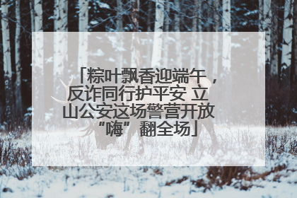 粽叶飘香迎端午，反诈同行护平安 立山公安这场警营开放“嗨”翻全场
