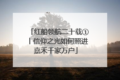 红船领航二十载①丨信仰之光如何照进嘉禾千家万户